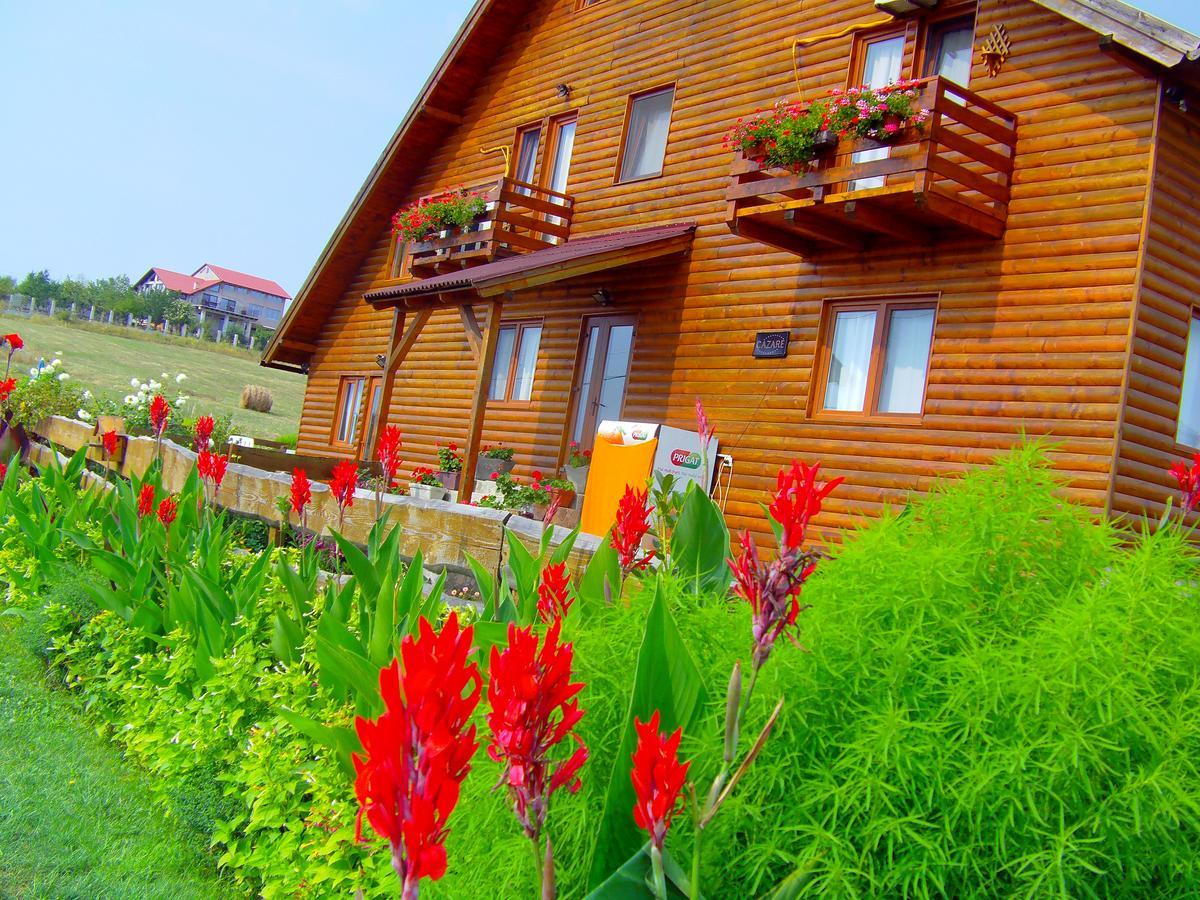 Apartamento Casa Altius Felix Băile Felix Exterior foto